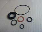 PAS Pump Kit Hobourn (rebuild kit)