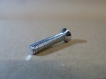 Door stricker screw