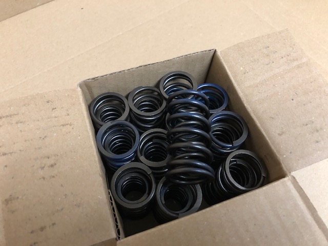 Valve spring Set (V12)